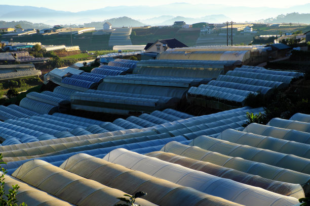 大叻农区的温室图片下载