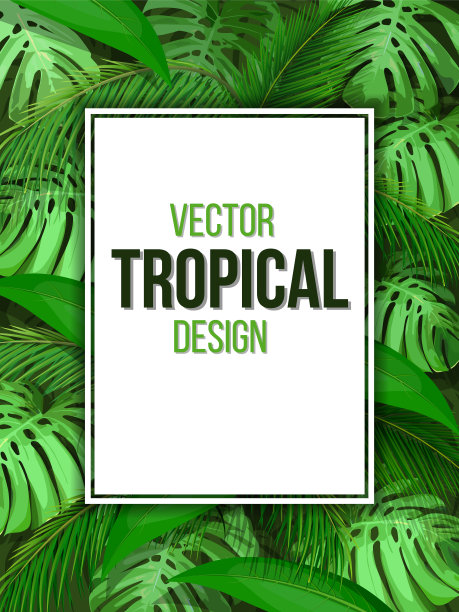 以热带树叶为背景的纸张图片下载