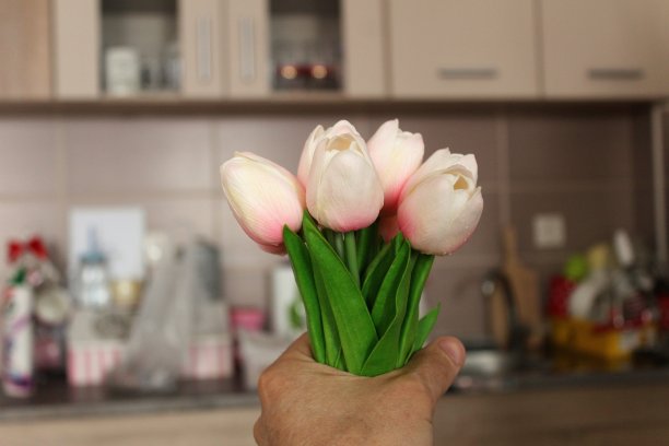 鲜花和厨房。图片下载