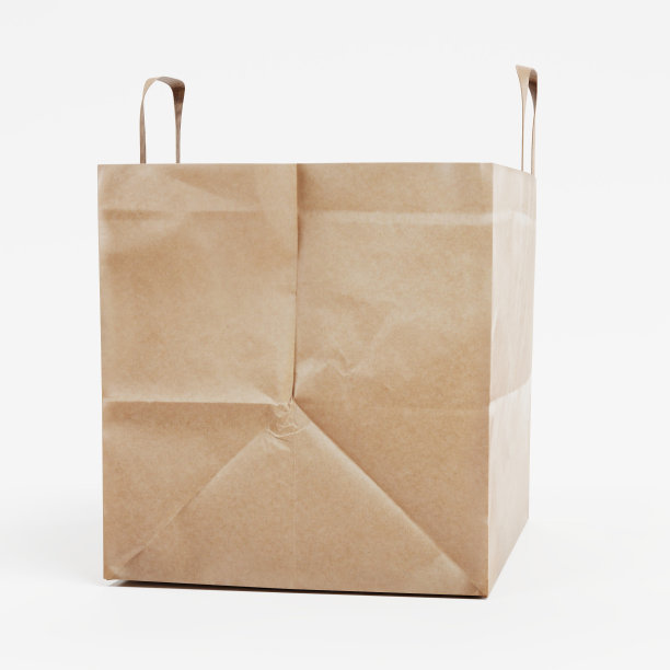 纸袋的现实3D渲染图片下载