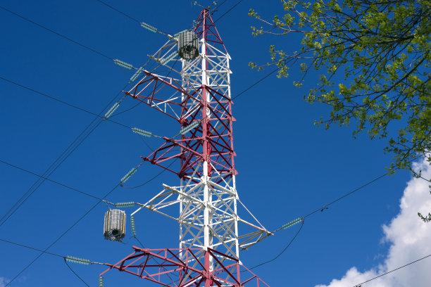 高压塔和春树。图片下载