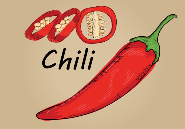 手绘红辣椒和切片的插画向量图片下载