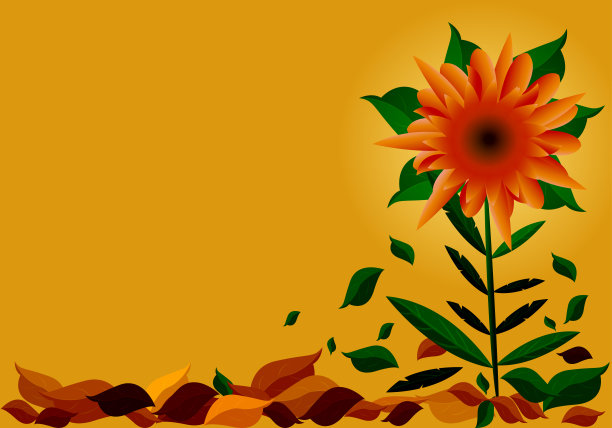 花的页面图片下载