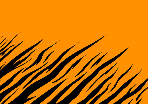 老虎纹理抽象背景-插图图片下载