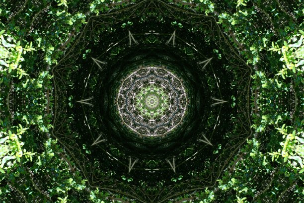 自然启发对称图案背景图片下载