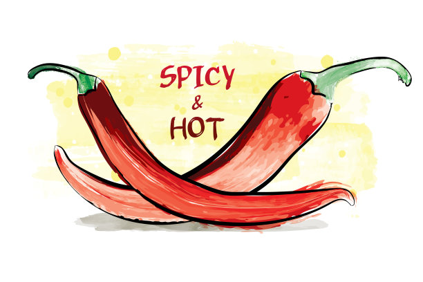 水彩辣椒。矢量插图。图片下载