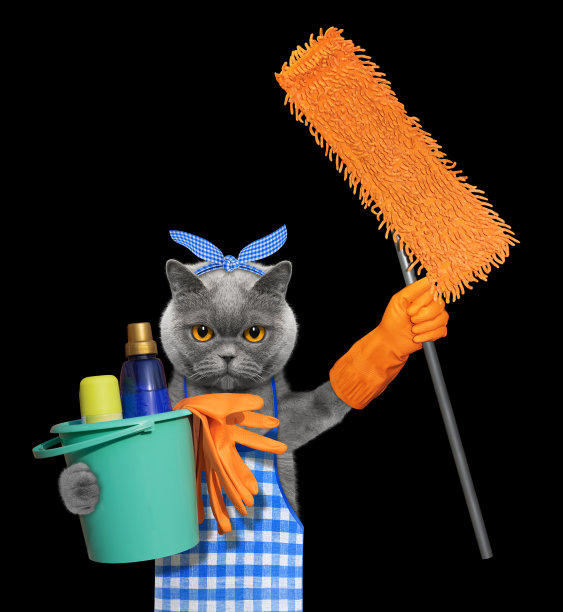 穿着围裙拿着拖把的猫在做家务。孤立在黑色图片下载