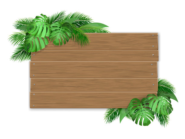 带有热带叶子的木制标志图片下载