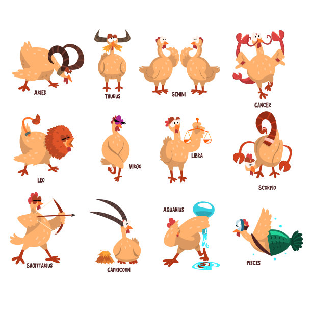十二生肖的滑稽农场鸡。不同动作的家禽。漫画的星座。平面向量组图片下载