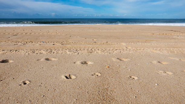 空的海滩图片下载
