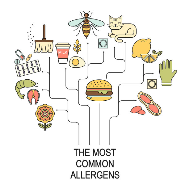过敏症状载体平面风格插图。最常见的过敏原图标集。医药和健康标志。图片下载