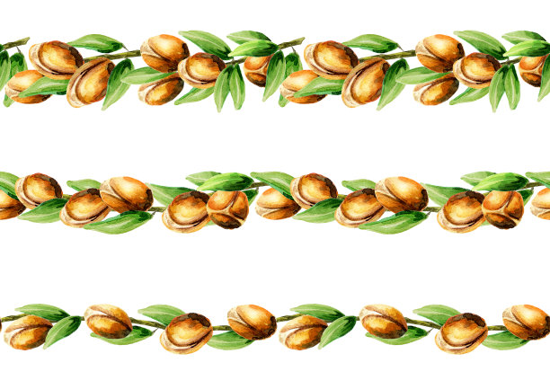 阿甘分支无缝边框。点缀图片下载