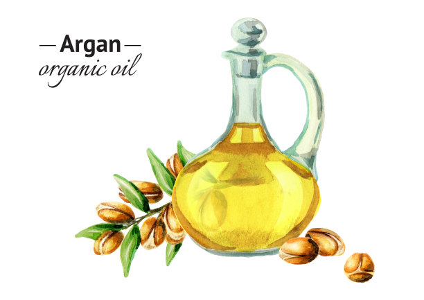 摩洛哥坚果油。水彩图片下载