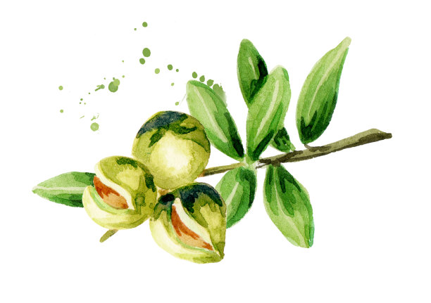 Argana、水彩图片下载