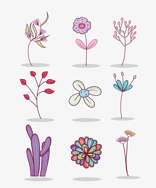 花朵合集素材图片