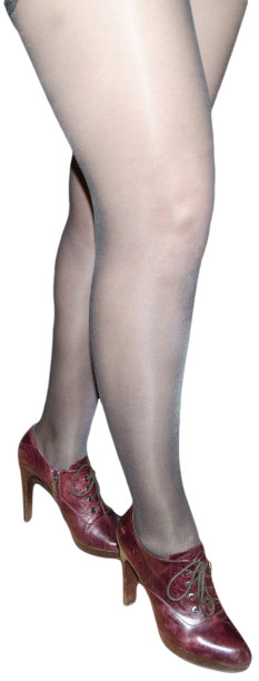 女人的腿在黑色长袜在白色的背景图片下载