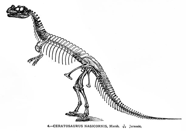 恐龙骨架雕刻1894图片下载