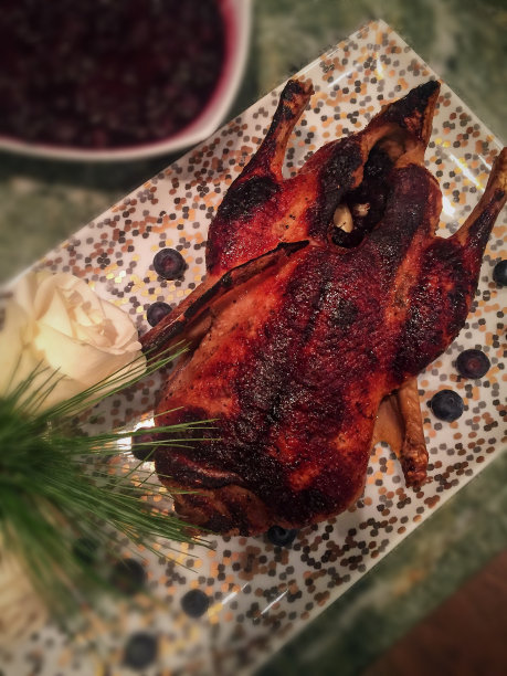 蓝莓烤鸭子图片下载