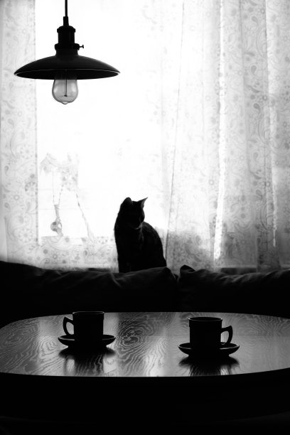 早上的咖啡放在木桌上，窗台上有一只猫图片下载