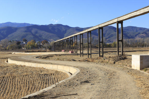 中国沙溪的稻田。素材图片