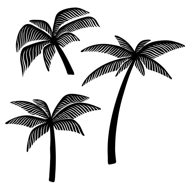 一套手绘棕榈树插图。设计元素海报，卡片，横幅，t恤。图片下载