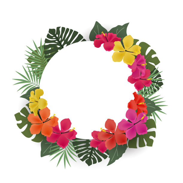 热带花卉背景图片下载