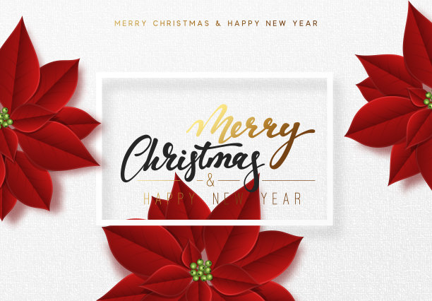 圣诞快乐，背景点缀着美丽的红芽一品红花图片下载