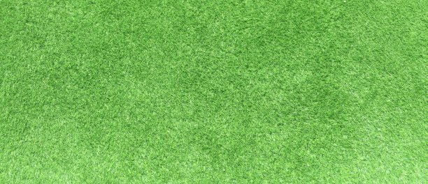 人工草地的背景图片下载