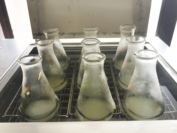 煮熟的细菌纤维素图片下载