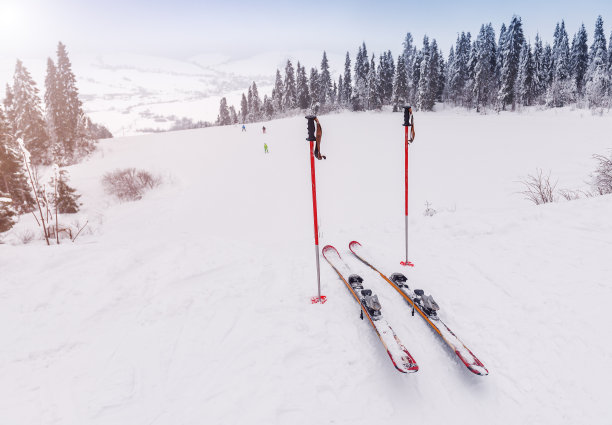 红色的滑雪板和木棍在雪地上图片下载