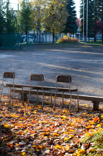 秋天的长椅上图片下载