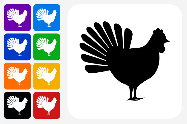 小鸡图标方形按钮设置图片下载