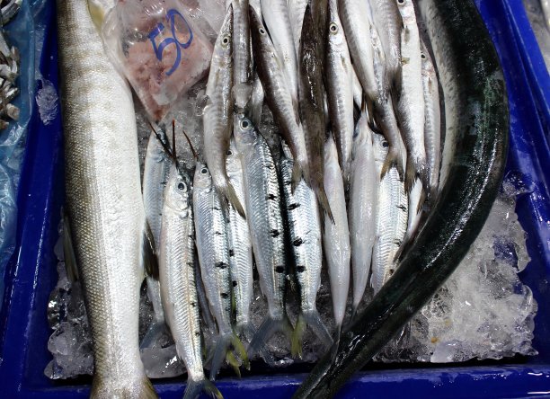 在新鲜市场出售的Garfish鱼图片下载