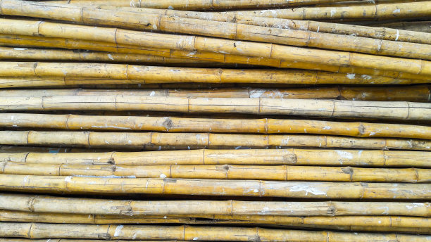 一堆竹子作为背景图片下载