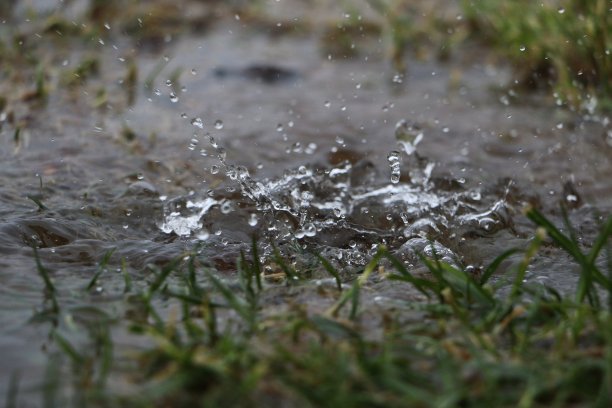 雨水溅图片下载
