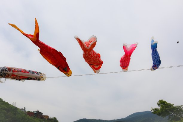 Koinobori-Japanese鲤鱼的风筝图片下载