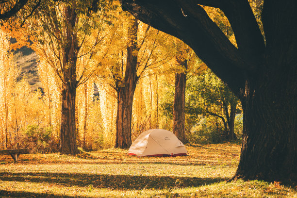 帐篷依偎在瓦纳卡的秋叶中图片下载
