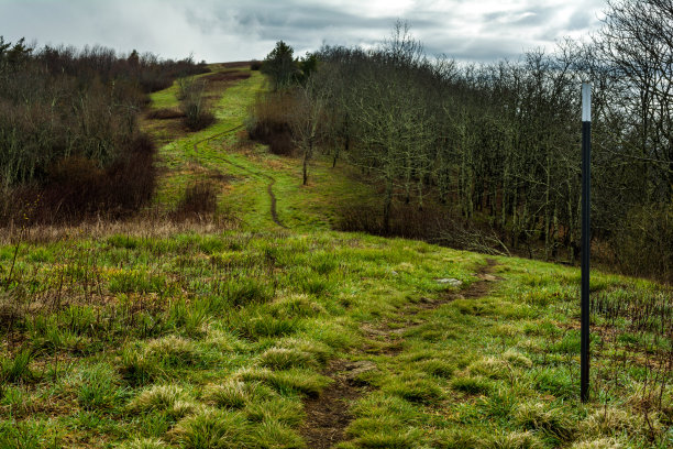 风景区图片下载