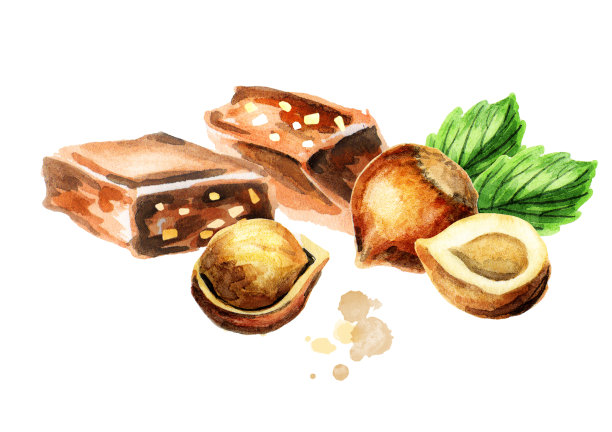 巧克力和榛子。水彩手绘插图图片下载