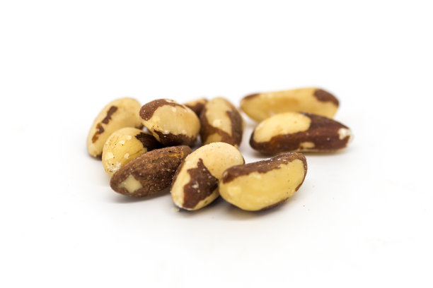 巴西坚果图片下载