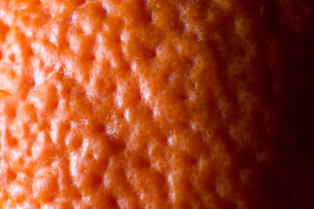 橘色皮肤的照片，特写，微距图片下载