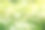 田野的野花雏菊在春天素材图片