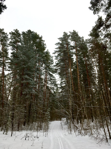 滑雪赛道图片下载