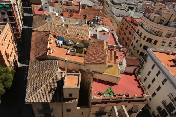 瓦伦西亚捕食者图片下载