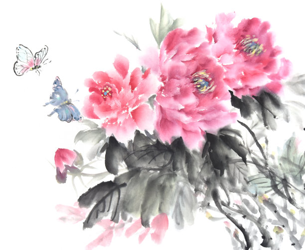 牡丹，中国传统水墨画。素材图片