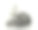 银杏树，爱尔兰紫杉和槐，19世纪图片下载