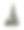 中国柏树，柏树，19世纪图片下载