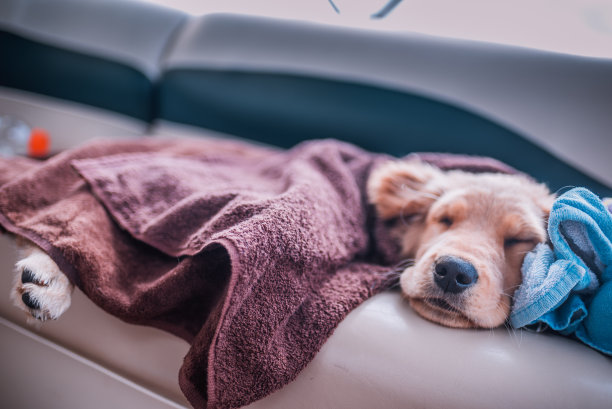 Boat-time午睡2图片下载