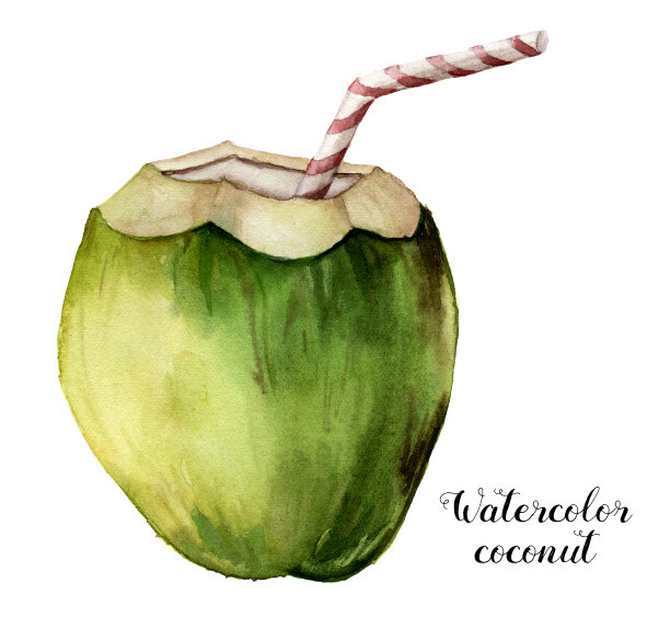 水彩椰子。手绘异国情调的饮料与条纹管隔离在白色的背景。带吸管的热带鸡尾酒。食物插图设计或印刷图片下载