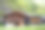 奥地利东蒂罗尔innergsch黄土山中舒适的木制小屋素材图片